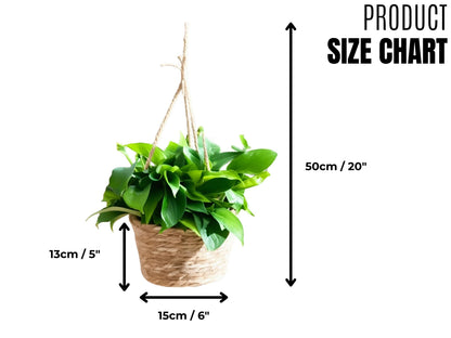 Woven Seagrass Hanging Basket Planter