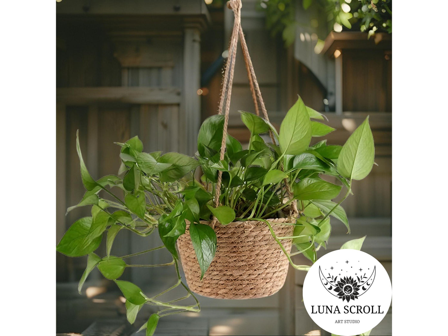 Woven Seagrass Hanging Basket Planter