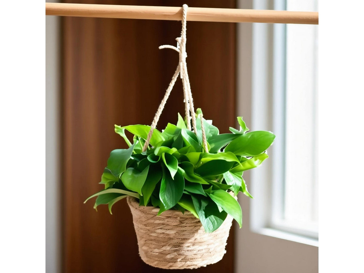 Woven Seagrass Hanging Basket Planter