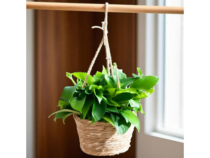 Woven Seagrass Hanging Basket Planter