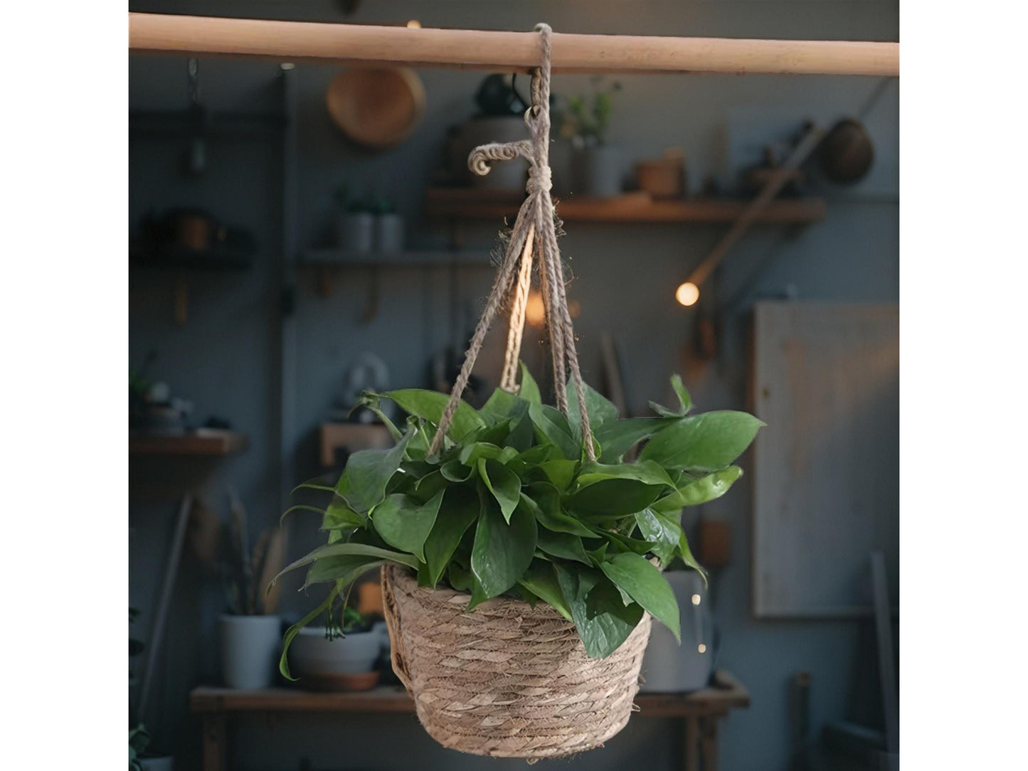 Woven Seagrass Hanging Basket Planter