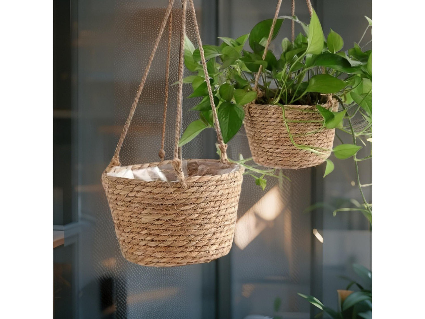 Woven Seagrass Hanging Basket Planter